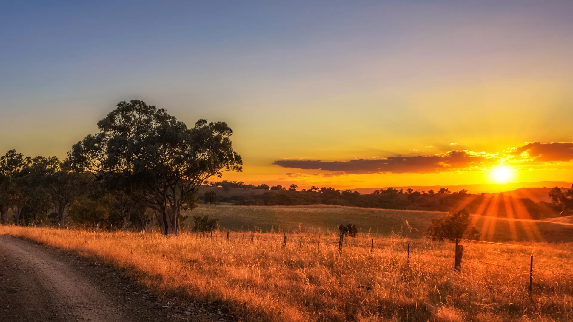 How Royal Far West Digitised Intake for Children in Rural & Remote Communities